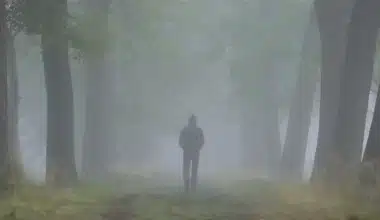 Lost in the fog, a man takes gentle steps, immersed in a serene atmosphere. A captivating moment symbolizing innocence.