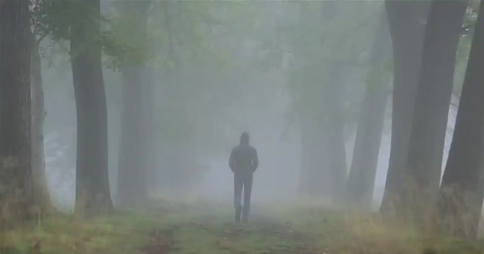 Lost in the fog, a man takes gentle steps, immersed in a serene atmosphere. A captivating moment symbolizing innocence.