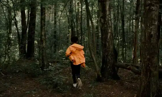 Image of a person in an orange raincoat walking through a forest during autumn.