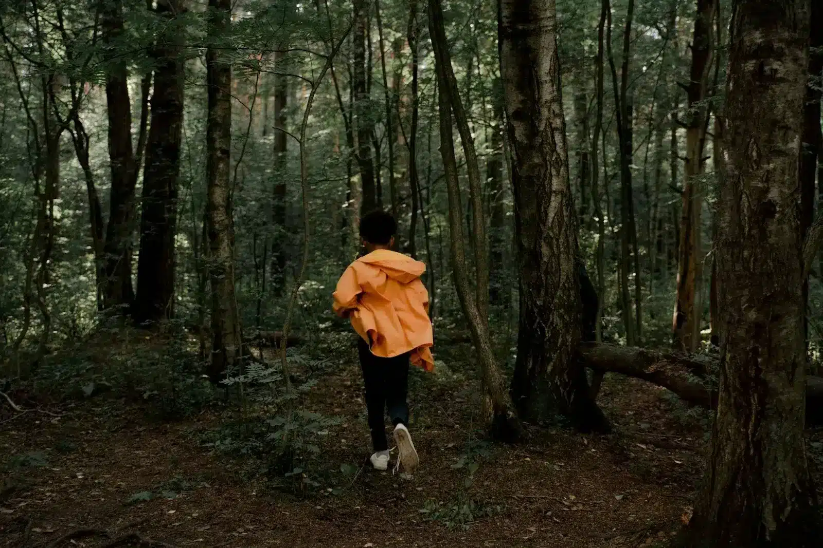 Image of a person in an orange raincoat walking through a forest during autumn.