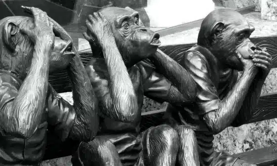 Three monkeys on a bench, hands on heads, pondering love's complexities, wrestling doubts and fears, seeking genuine connection