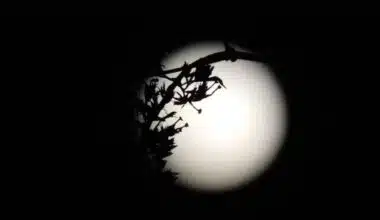 Image of a full moon on a dark night for the short story "Ritual of Eternal Temptation"