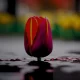 Image of a bloody tulip in a lake of blood depicting the dangerous and high intensity of part 13 of the bloody tulip short story series.