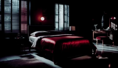 Image of a darkly light bedroom with a bed draped in red silk sheets with a red theme. The image captures the intense scene of the installment that takes place a bedroom